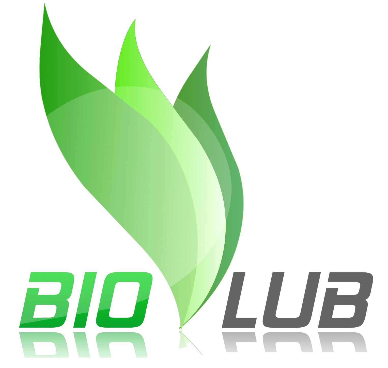 Biolubricantes S.A.S